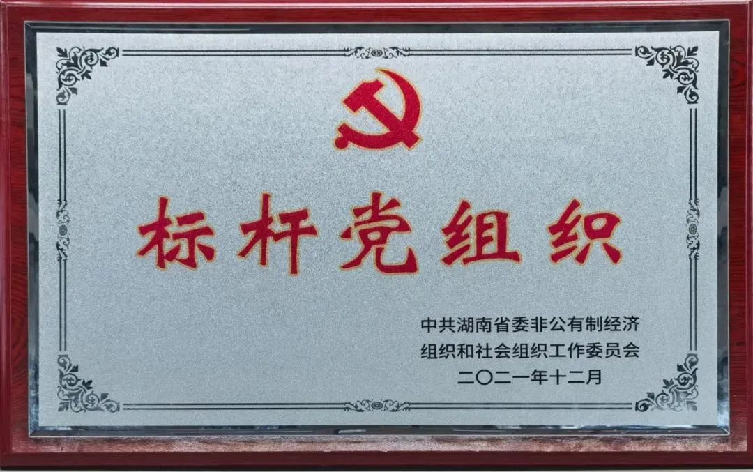 党建品牌亮起来！球友会体育-球友会体育（中国）官方在线
智能党委获评“标杆党组织”