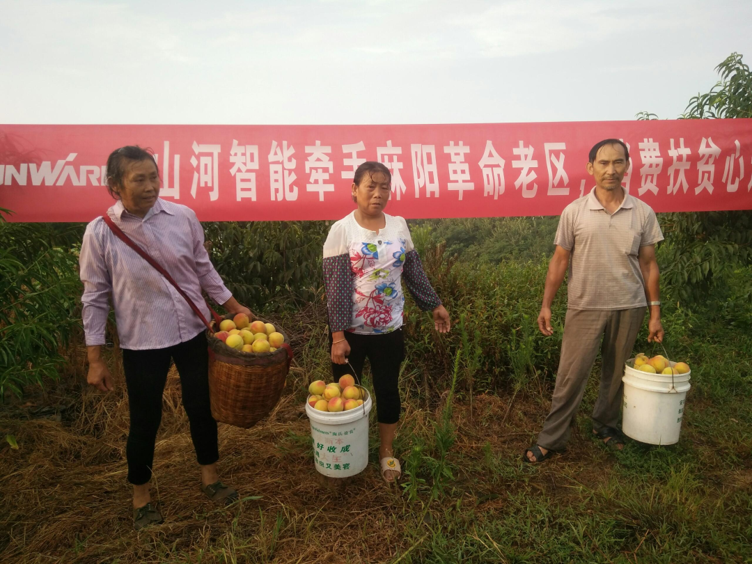 点赞！球友会体育-球友会体育（中国）官方在线
智能成功入选“上市公司乡村振兴优秀实践案例”